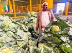Emerging farmers, entrepreneurs unite to showcase produce in Mthatha
