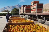 Agriculture Ministry working on improving US relations: Steenhuisen