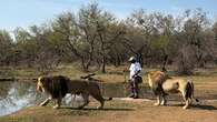 Follow the Sun I Walking with the lions at Ukutula Game Reserve