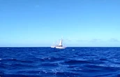 Sumud Flotilla sails towards Gaza