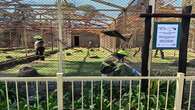 Bloemfontein Zoo to remain closed pending compliance