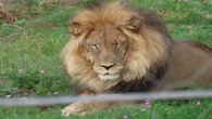 Addo Elephant Park receives two new attractions