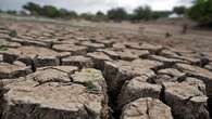 KZN small-scale farmers decry the effects of drought