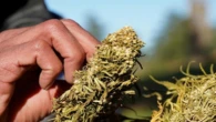 NGO calls for action against youth drug culture