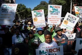 130 Nigerians seek repatriation from SA after protests, says Abuja