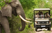 Visitors frustrated as Kruger National Park packed due to free entry