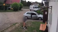 Podniósł psa za kark i rzucił nim o ziemię. Sprawca usłyszał zarzuty