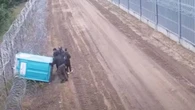 Trudno uwierzyć czego użyli nielegalni migranci, aby dostać się do Polski