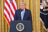 Trump chce nowych ceł. Powodem pożary lasów w Kanadzie