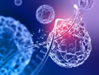 L’Intelligenza Artificiale decodifica i tumori del cervello