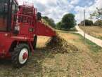 In Sardegna verso prima centrale biometano con zuccherificio