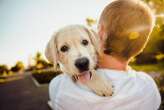 Il cane amico dell’uomo grazie a due mutazioni genetiche