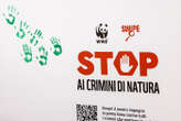 Giornata della Terra: Wwf, stop ai crimini contro la natura