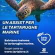 Calcio, negli stadi spot Legambiente per tartarughe marine