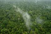 Forests in wet areas generate more rain