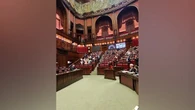 Ok a odg della Lega su caccia a stambecco, Avs protesta in Aula con cartelli