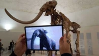 La realtà aumentata fa rivivere il Mammut all'Aquila