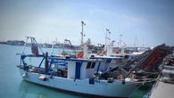 In Salento vanno a pesca di tonni ma abbocca uno squalo