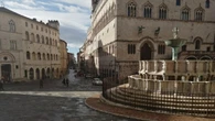 Il padrone sta male e Perugia si mobilita per il cane mascotte del centro
