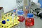 Prima prova danno da plastiche su uomo, rischi cuore doppi