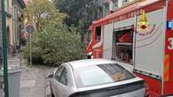 Cade grosso albero, tragedia sfiorata a Napoli