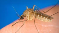 Task force medici famiglia-Iss contro le infezioni come il West Nile