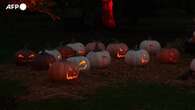 Halloween, un percorso luminoso e 