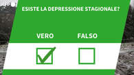 Ansa VERIFIED - Esiste la depressione stagionale?