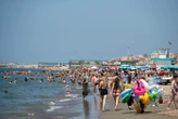 Pienone sulle spiagge del litorale romano
