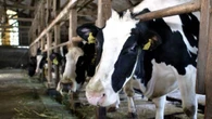 Giornata Mondiale del Latte, in Italia la Milk Economy vale 31 miliardi di euro