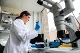Ok Usa a terapia genica ideata in Italia per malattia rara