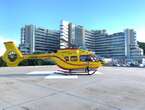 Travolto dall'albero che stava sradicando, muore in ospedale