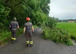 Maltempo, in Fvg caduta alberi, abbattuto traliccio telefonico