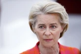 Von der Leyen, 'barra dritta su transizione, Ue sia unita'