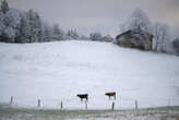 In Friuli si scia con la neve conservata