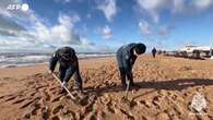 Russia, soccorritori e volontari puliscono una spiaggia del Mar Nero