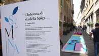 Milano, via della Spiga si colora con l'infiorata