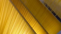 Allarme Consumatori, con dazi rincari pasta anche in Italia