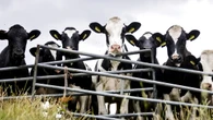 L'Ue propone nuove tutele per gli agricoltori sul Mercosur