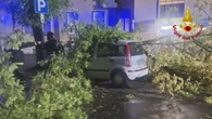 Maltempo, 100 interventi Vigili fuoco per alberi caduti in Fvg