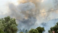 Incendi Sardegna, evacuata casa e agrumeti in fumo a Villacidro