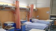 Nuovo caso di West Nile in Sardegna, è il terzo