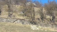 Agricoltura, dal Medioevo nuove strategie contro il cambiamento climatico