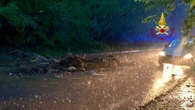 Maltempo, nel Biellese donna ferita, l'auto colpita da un albero