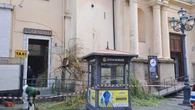 Vento forte sulla Calabria, alberi caduti ma nessun ferito