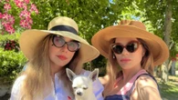 Fuori il traditore, la campagna contro chi abbandona animali