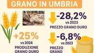 Grano, produzione in crescita in Umbria ma prezzi vanno giù