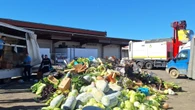 Sequestrate e distrutte 5 tonnellate di ortaggi a Firenze