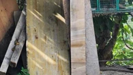 Tiene cane alla catena, mille euro di multa con legge Brambilla