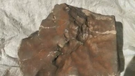 All'asta il più grande meteorite marziano, pesa quasi 25 chili